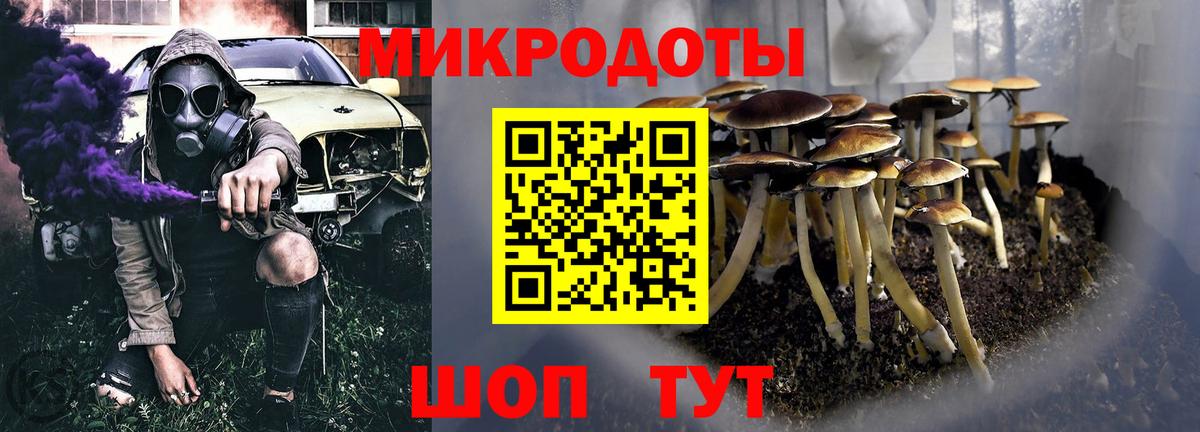 Псилоцибиновые грибы Cubensis Сердобск