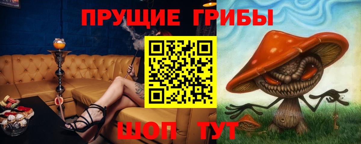 Сердобск  Псилоцибиновые грибы MAGIC MUSHROOMS  Вход с VPN  Псилоцибиновые грибы Cubensis 